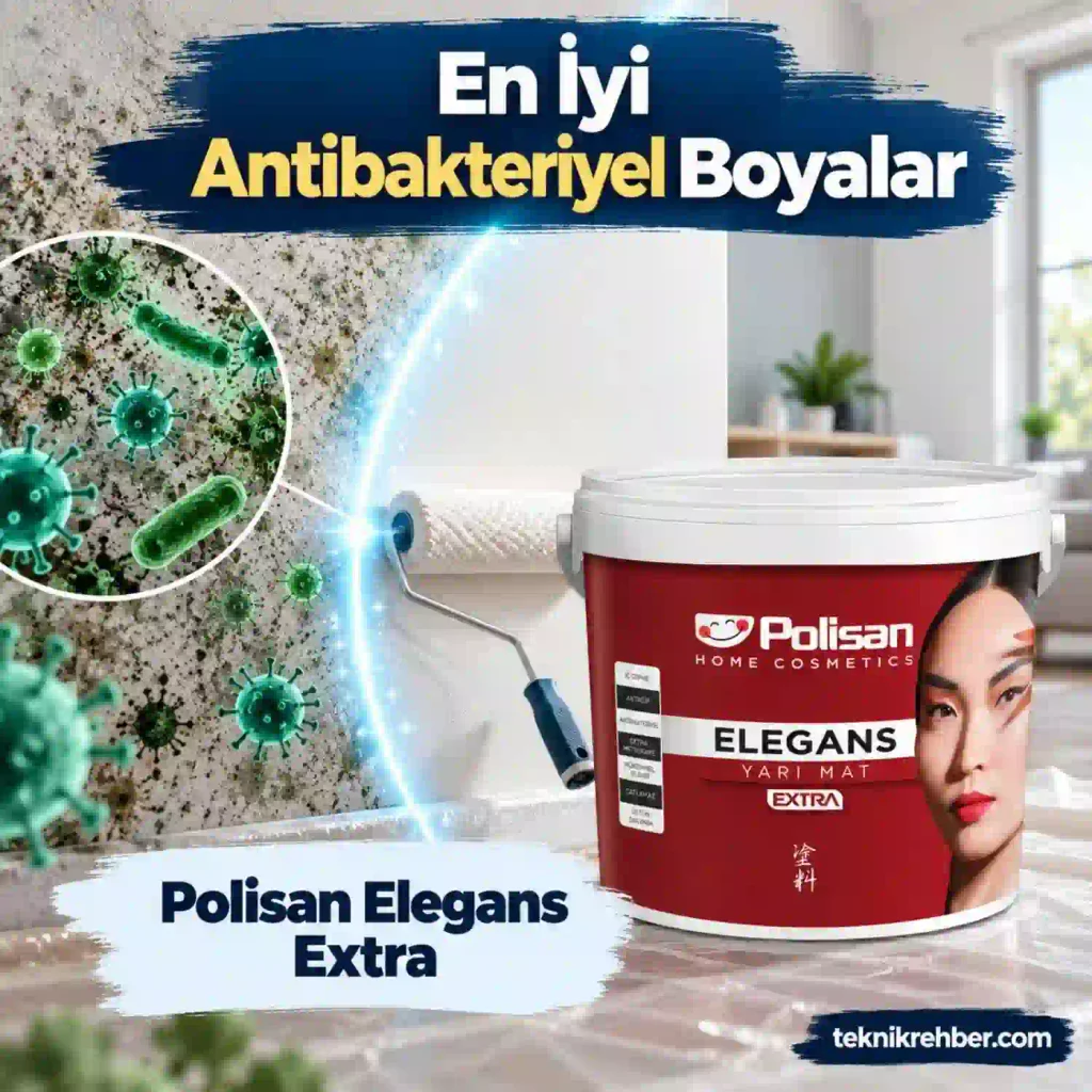 Polisan antibakteriyel boya.