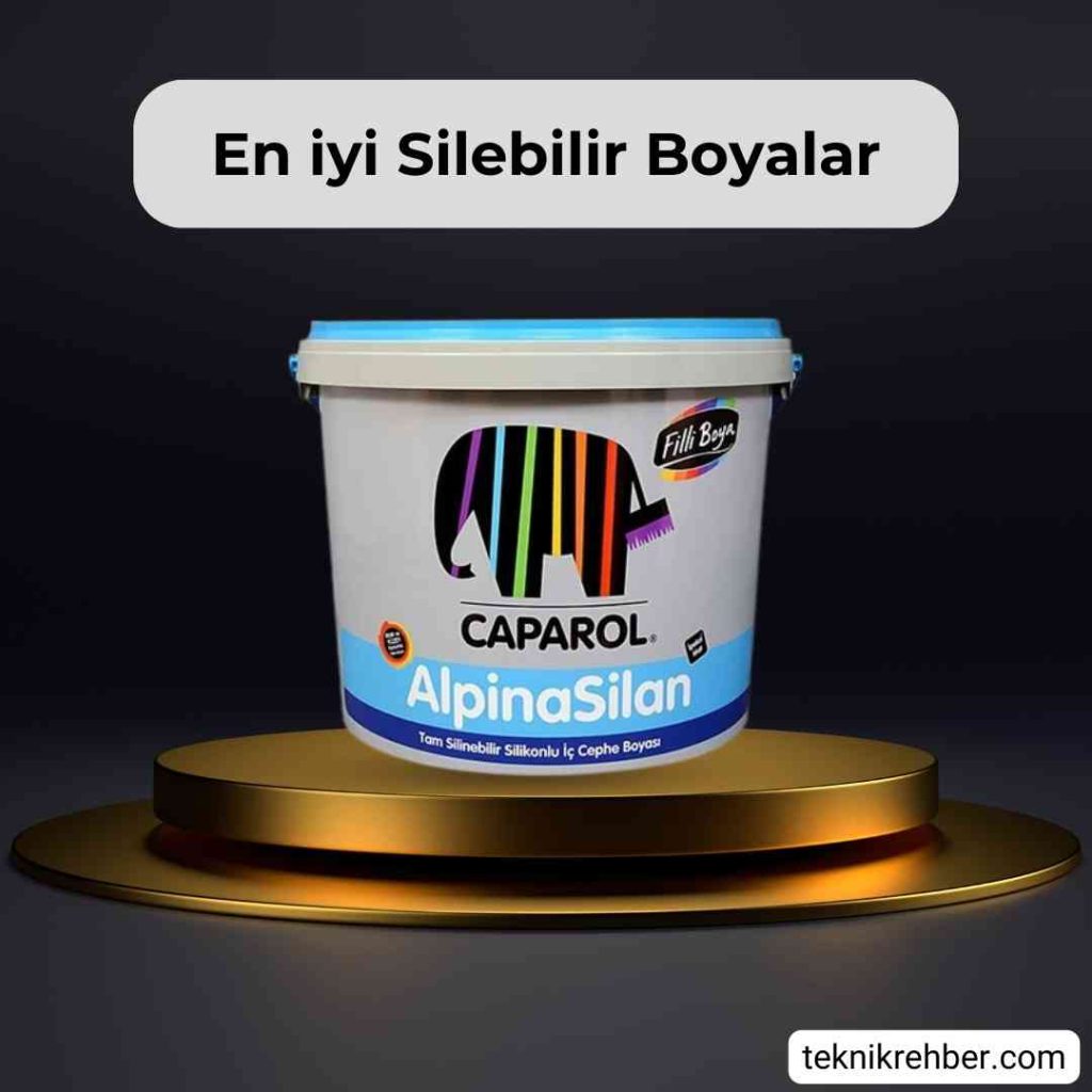 Alpina silan silinebilir boya.