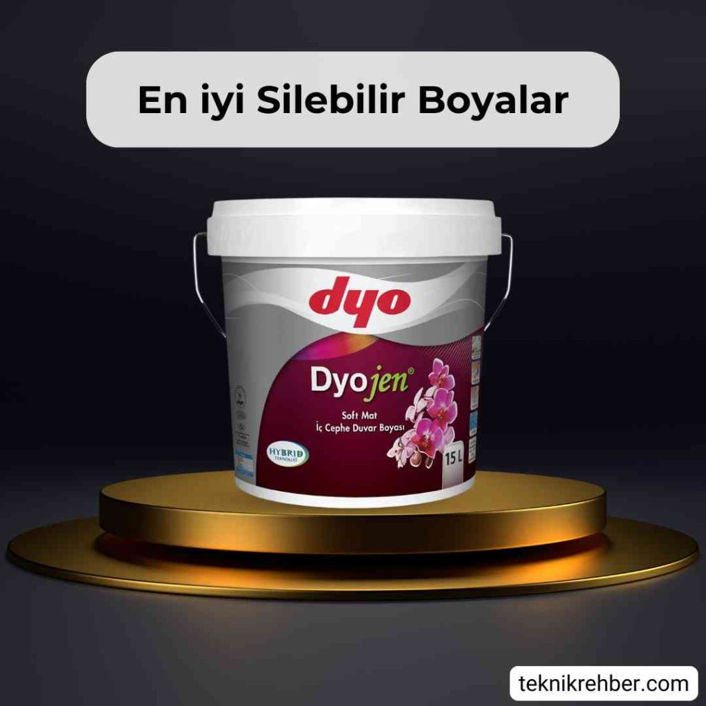 Dyo dyojen silinebilir boya.