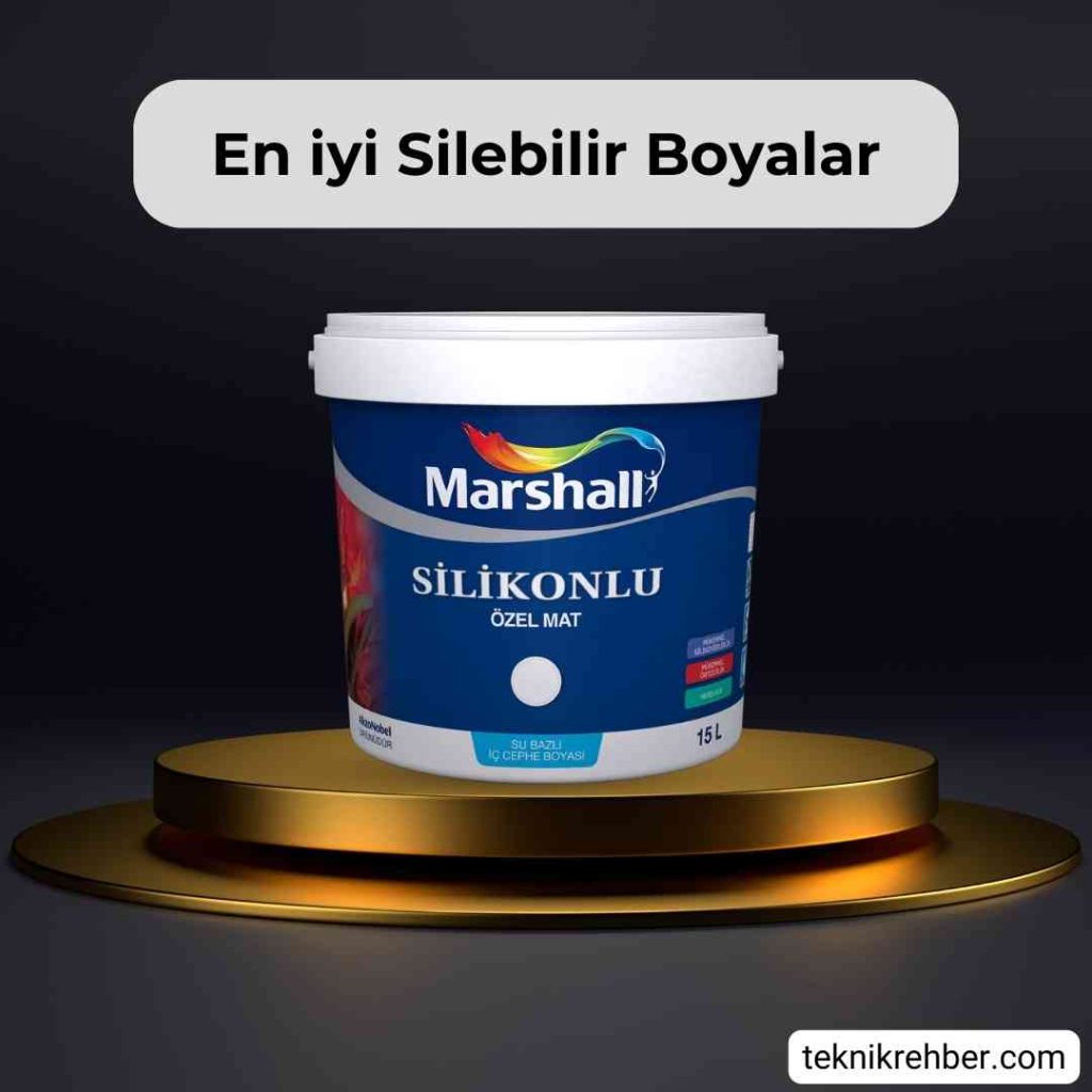 Dyo teknoplast silinebilir boya.