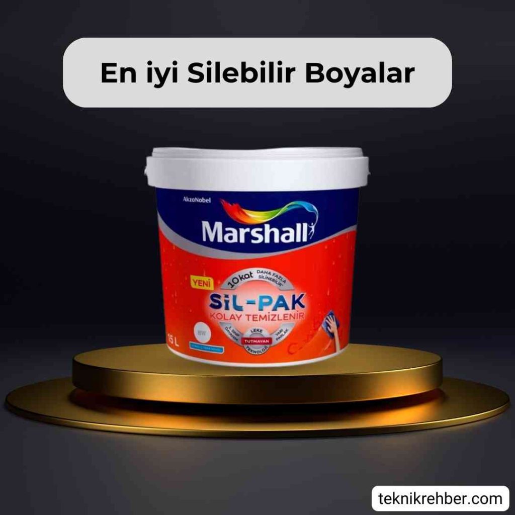 Marshall silpak silinebilir boya.
