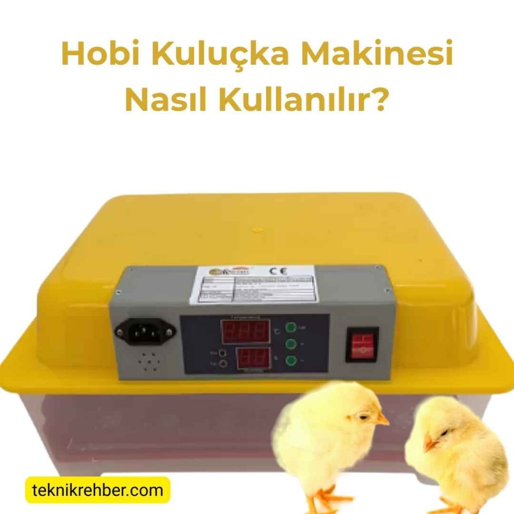 Kuluçka makinesi nasıl kullanılır?