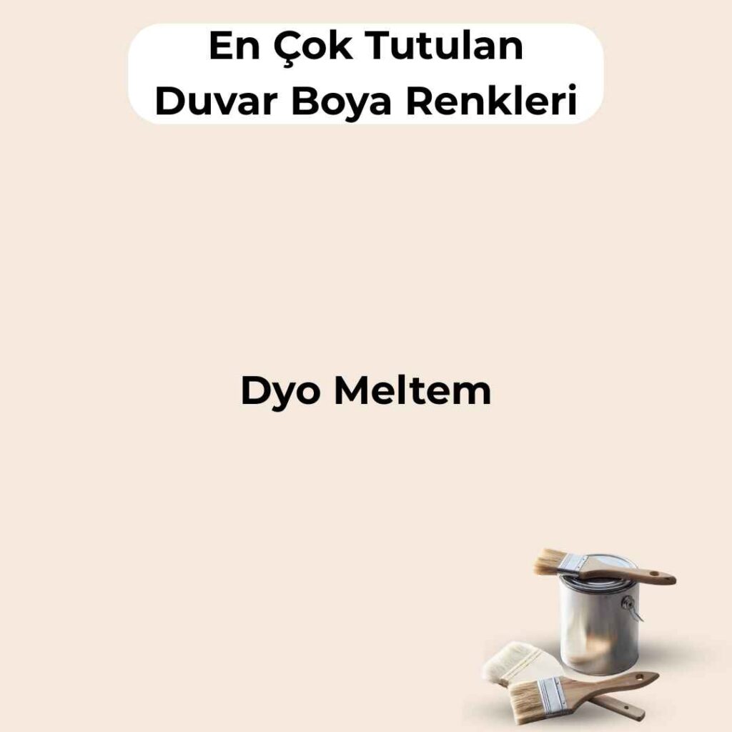 16 En Çok Satılan, En Çok Tutulan Duvar Boya Rengi 20 dyo meltem