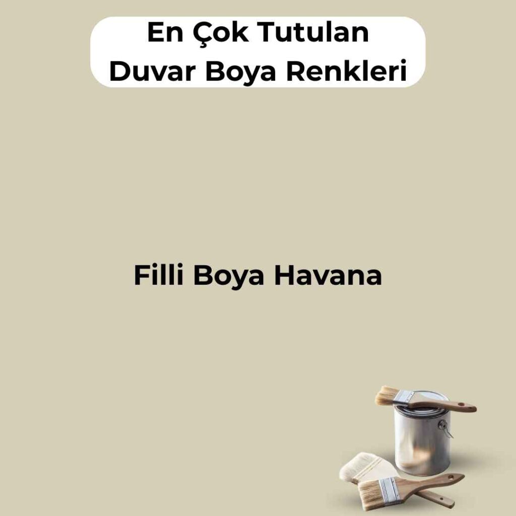 16 En Çok Satılan, En Çok Tutulan Duvar Boya Rengi 10 filli boya havana