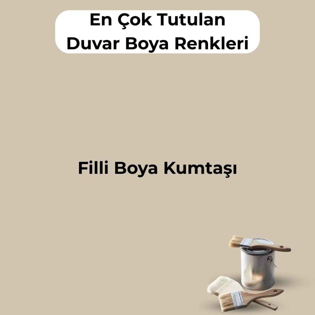 16 En Çok Satılan, En Çok Tutulan Duvar Boya Rengi 9 filli boya kumtasi