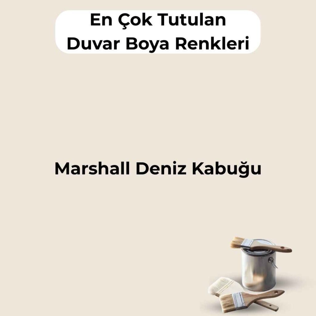 16 En Çok Satılan, En Çok Tutulan Duvar Boya Rengi 18 marshall deniz kabugu