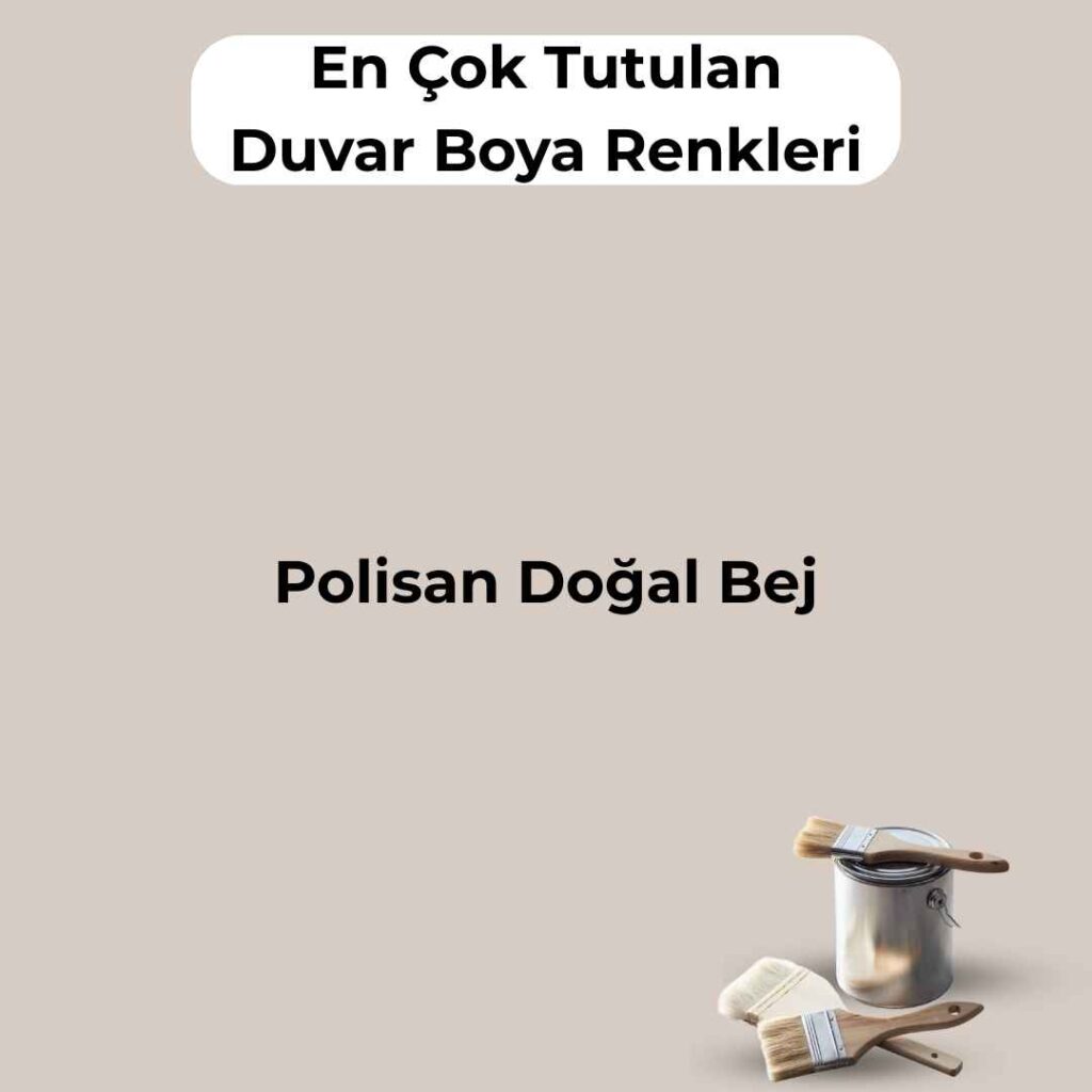 16 En Çok Satılan, En Çok Tutulan Duvar Boya Rengi 15 polisan dogal bej