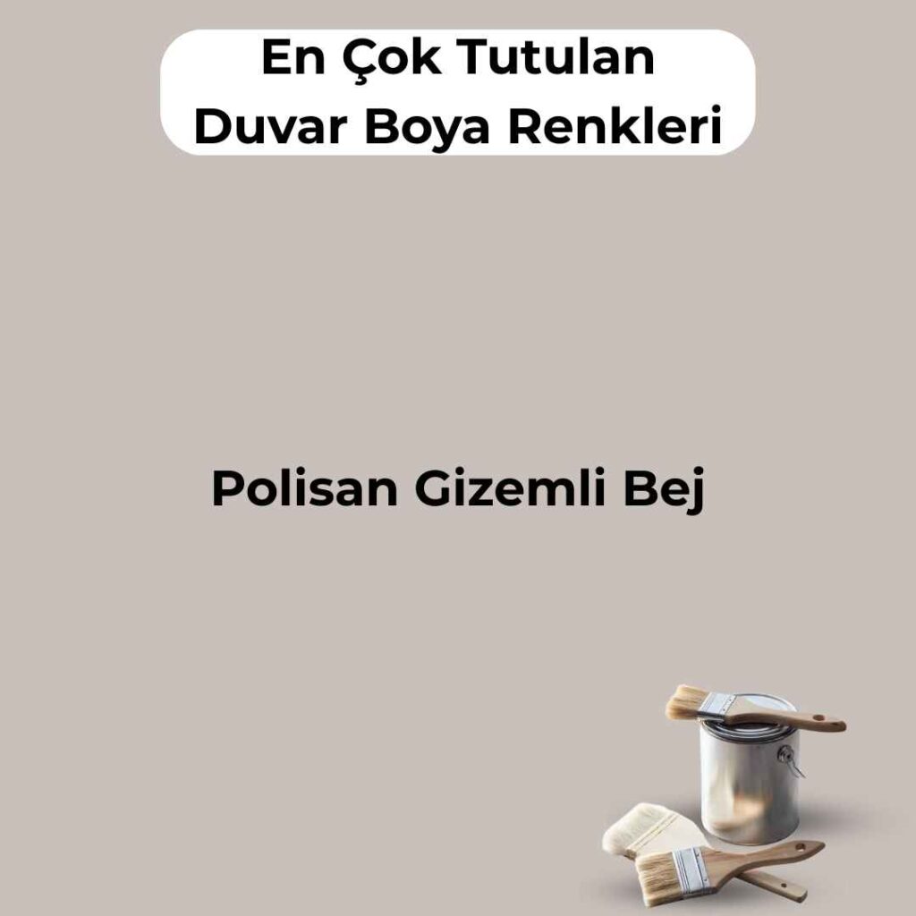 16 En Çok Satılan, En Çok Tutulan Duvar Boya Rengi 12 polisan gizemli bej
