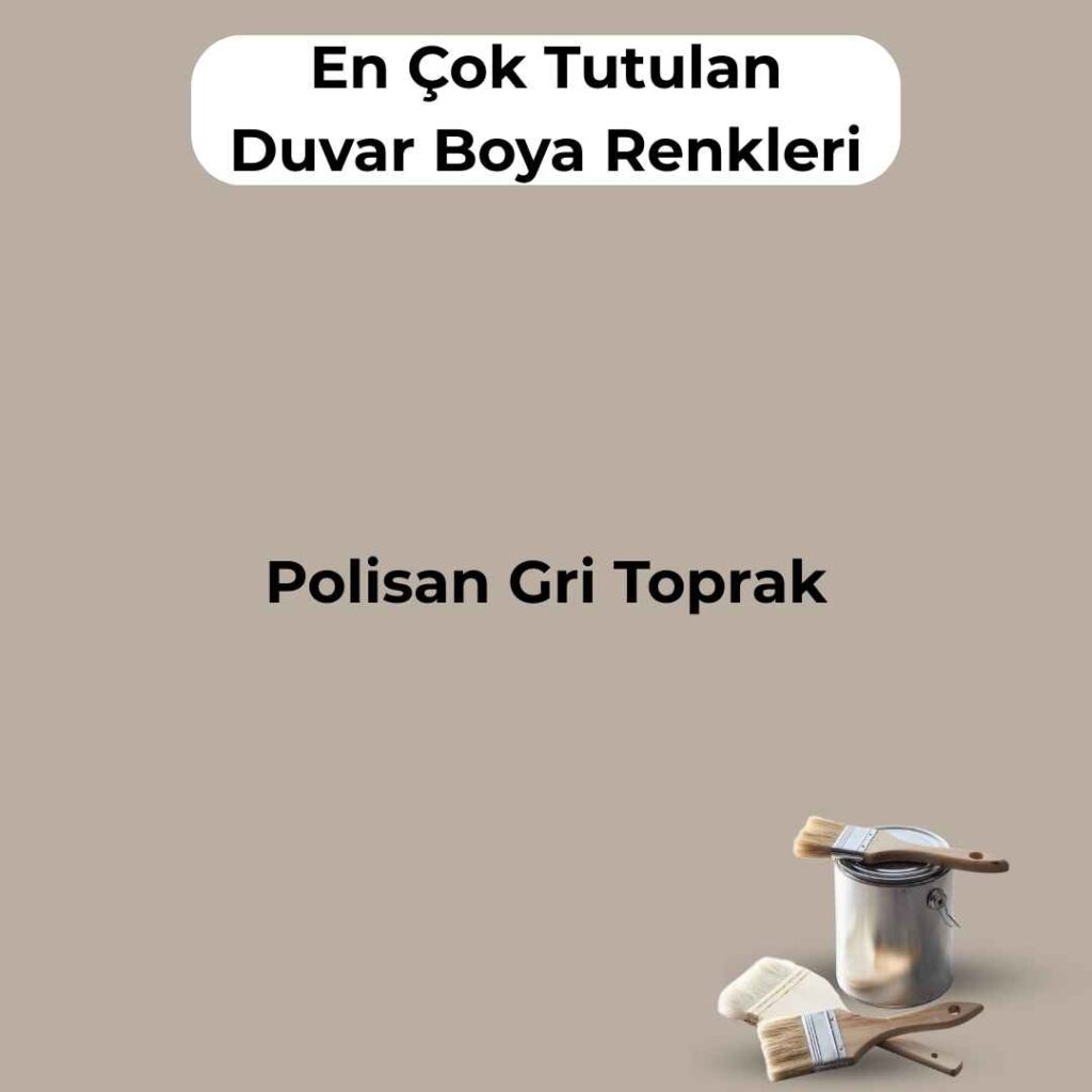 16 En Çok Satılan, En Çok Tutulan Duvar Boya Rengi 13 polisan gri toprak