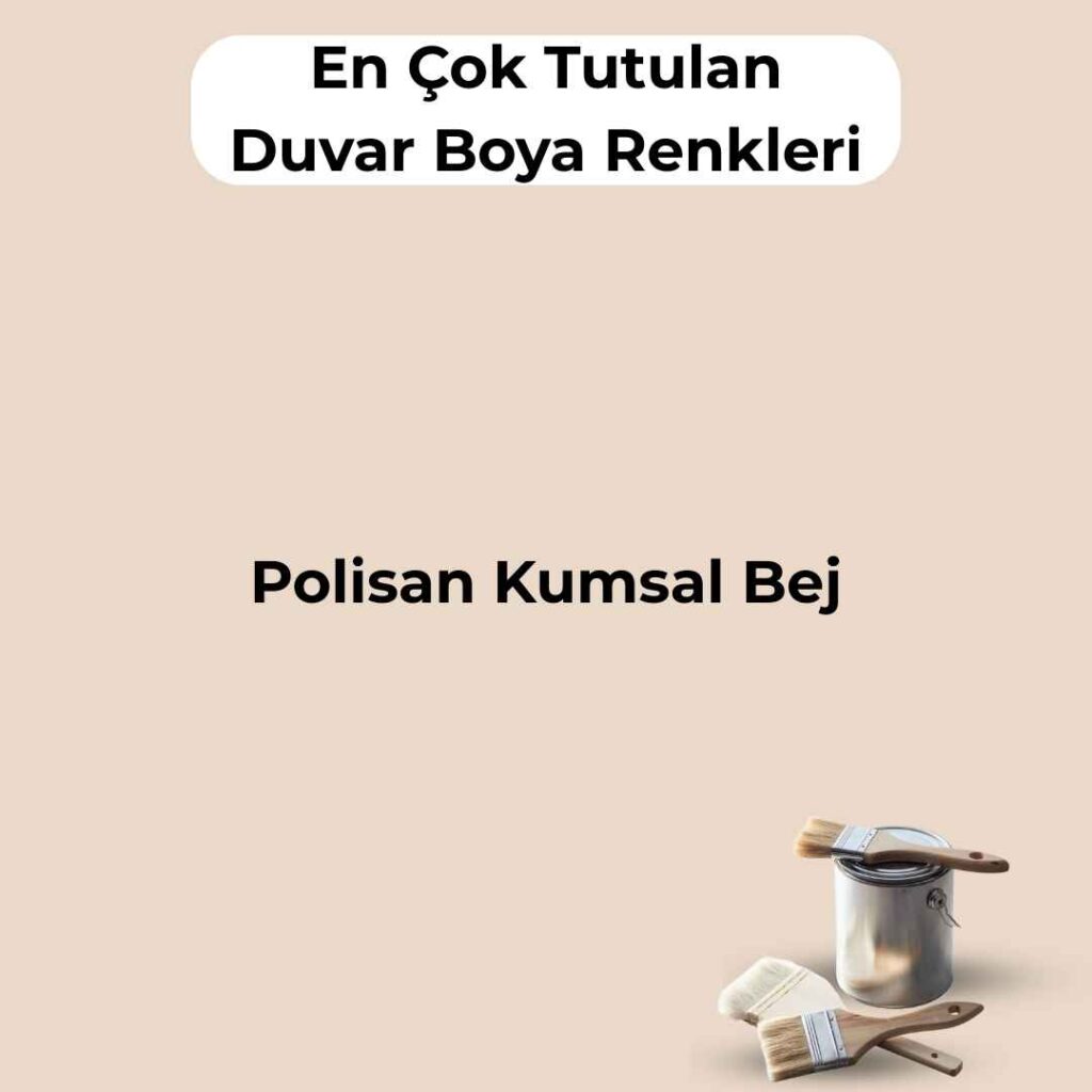 16 En Çok Satılan, En Çok Tutulan Duvar Boya Rengi 11 polisan kumsal bej