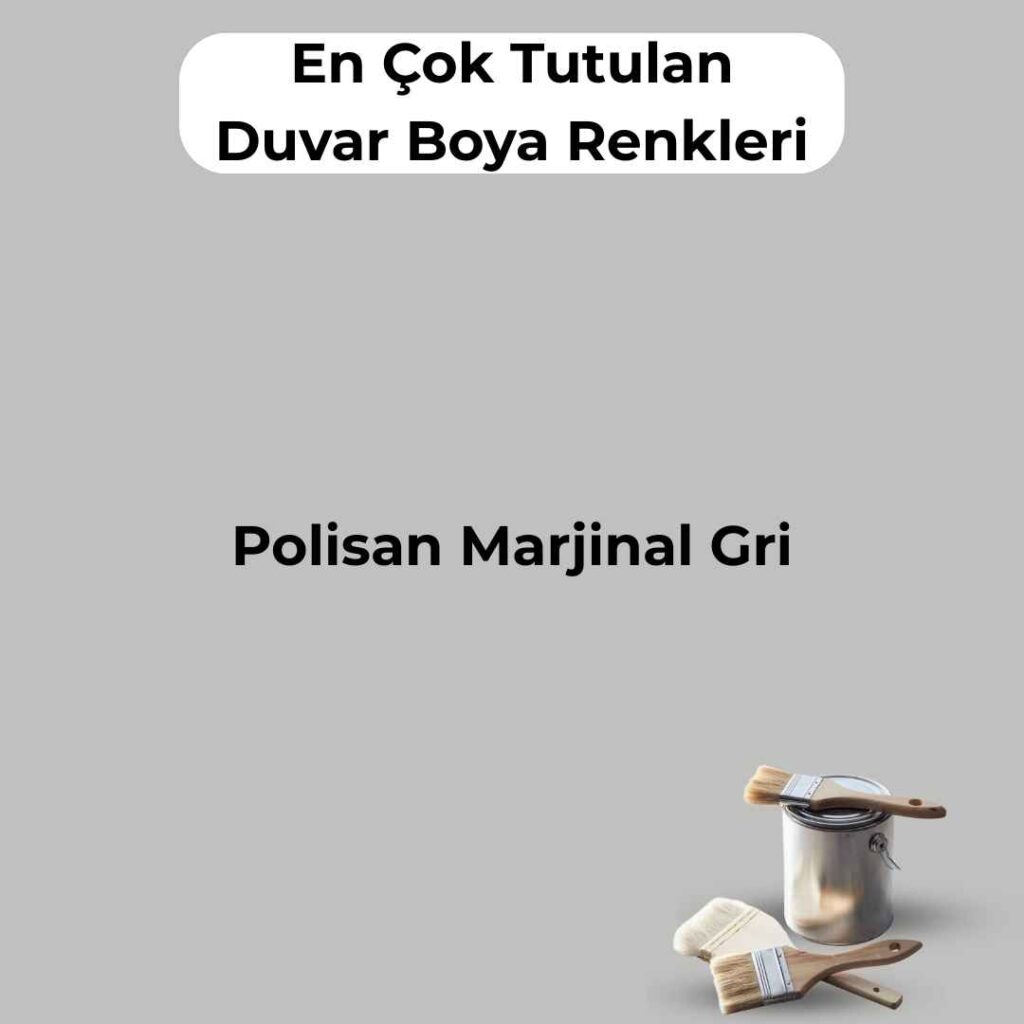 16 En Çok Satılan, En Çok Tutulan Duvar Boya Rengi 14 polisan marjinal gri
