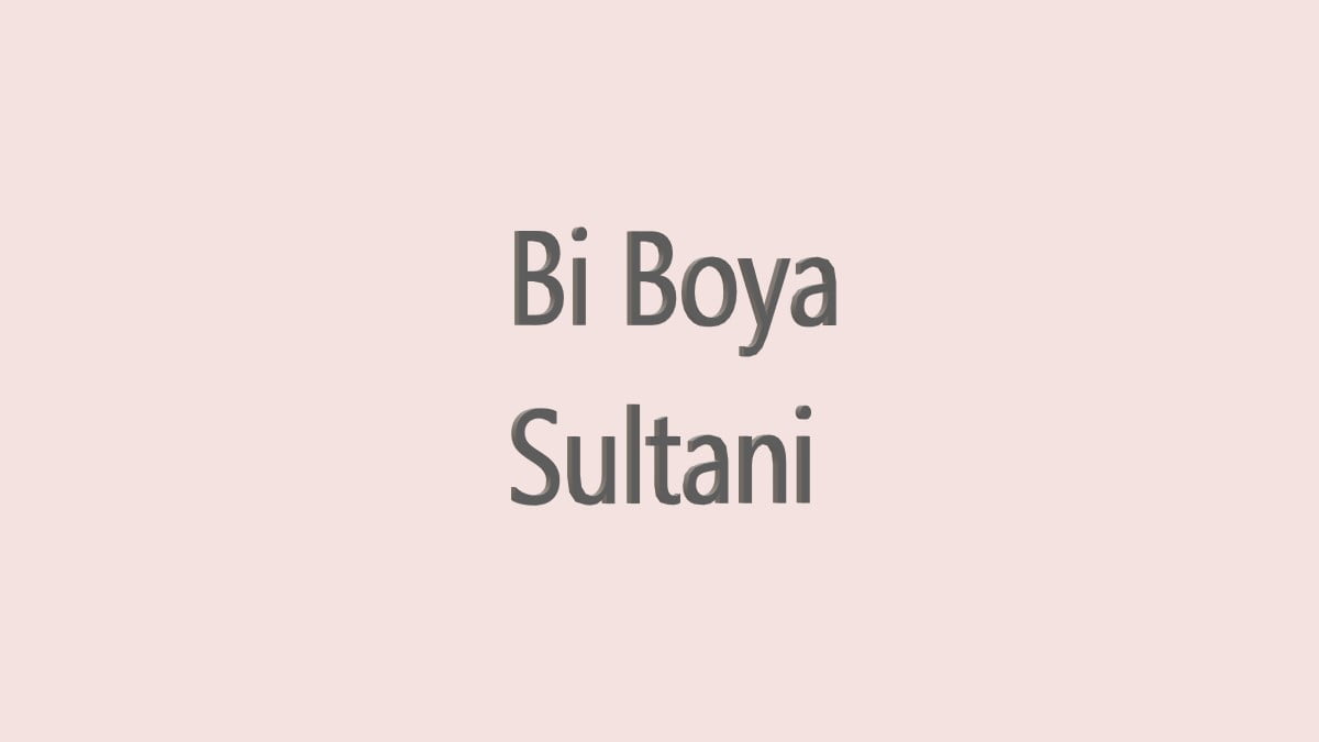 Pembe Duvar Boyası Tonları ve İsimleri 12 bi boya sultani