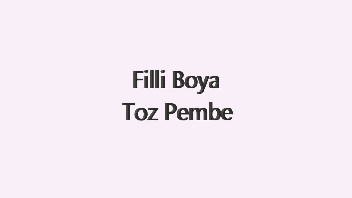 Pembe Duvar Boyası Tonları ve İsimleri 18 Filli boya toz pembe