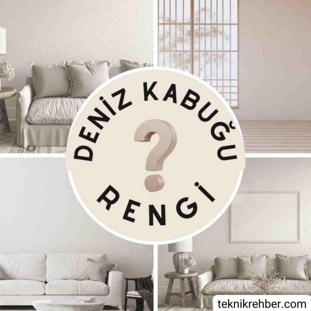 Deniz Kabuğu Rengi Örnekleri Ve Yorumları 1 Deniz kabuğu rengi.