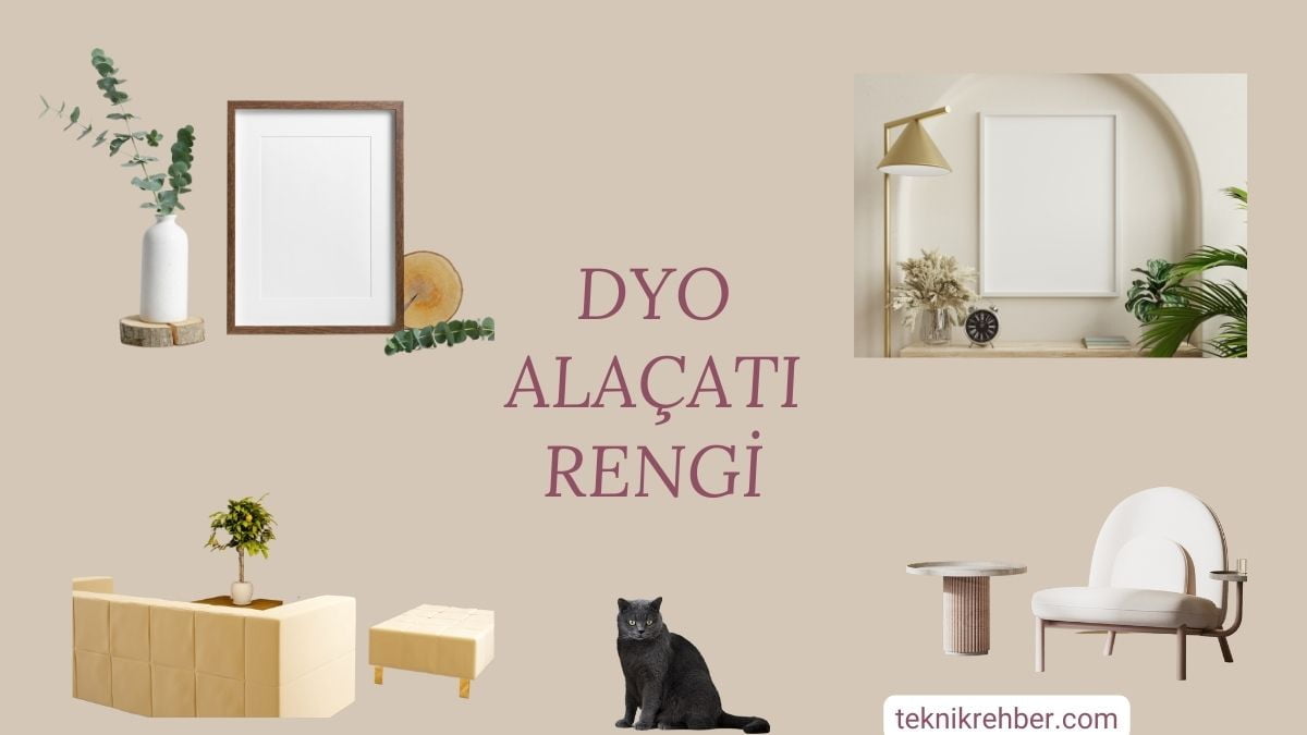 Dyo Alaçatı Rengi İle Boyanmış Duvar ve Yorumlar 4 Dyo alaçatı rengi boya.