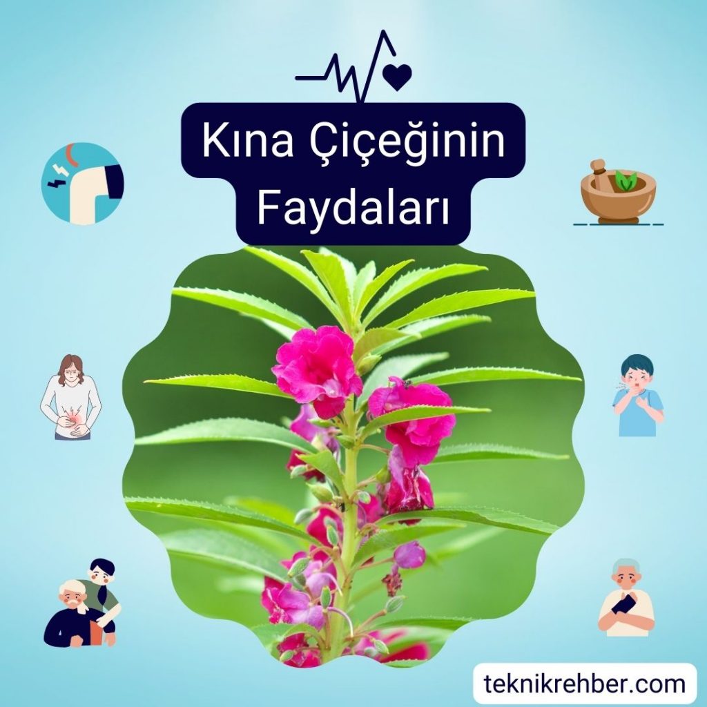 Kına Çiçeği Nedir? Bakımı ve Faydaları 6 Kına çiçeği faydaları.