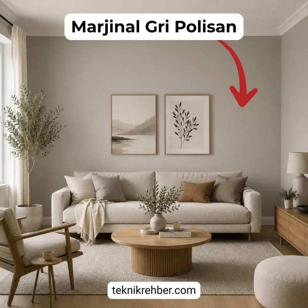 Polisan Marjinal Gri İle Boyanmış Evler ve Yorumları 2 Polisan marjinal gri