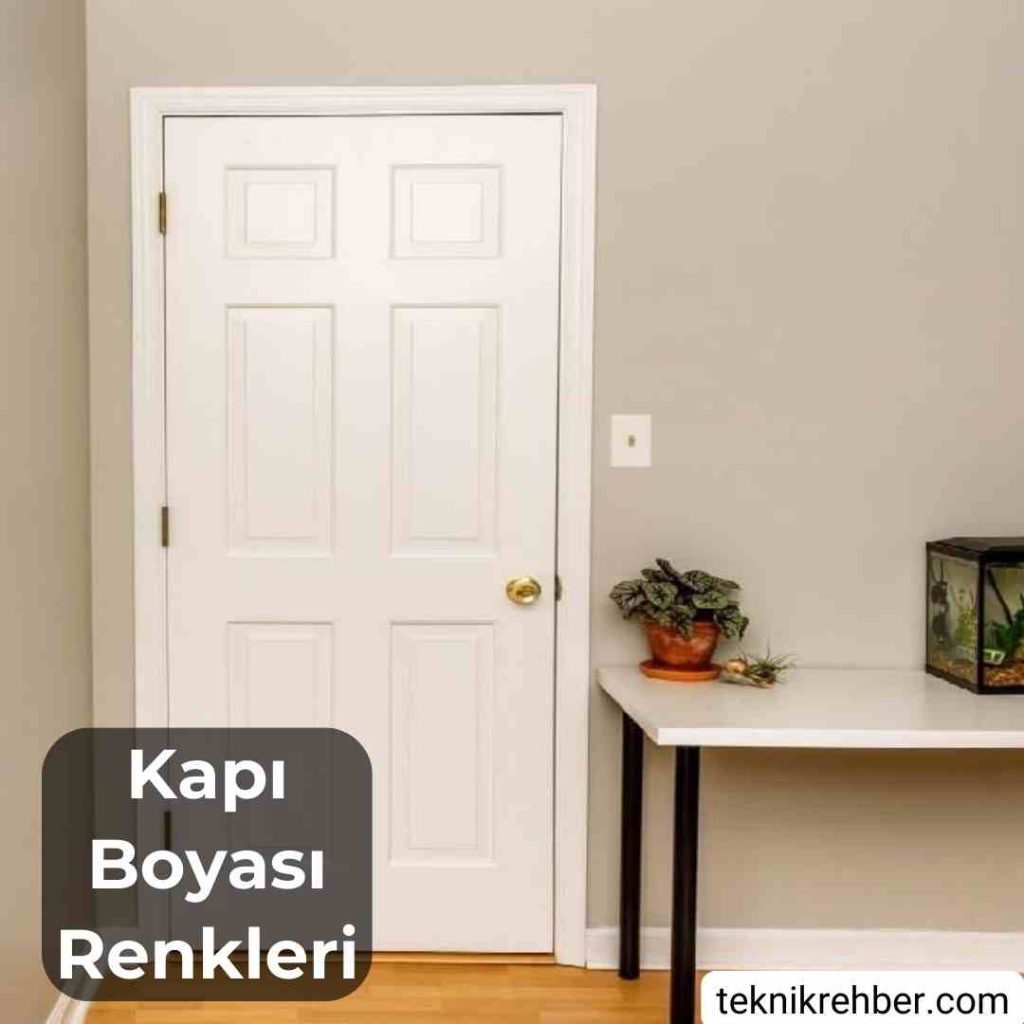 Tüm Markaların İç Panel Kapı Boyası Renkleri 8 Beyaz panel kapı boyası