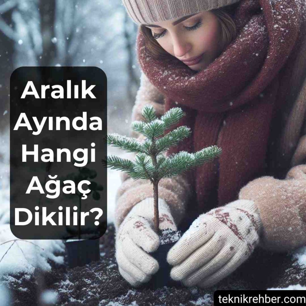 Aralık Ayında Ne Ekilir? 5 Aralık ayında hangi ağaç dikilir?