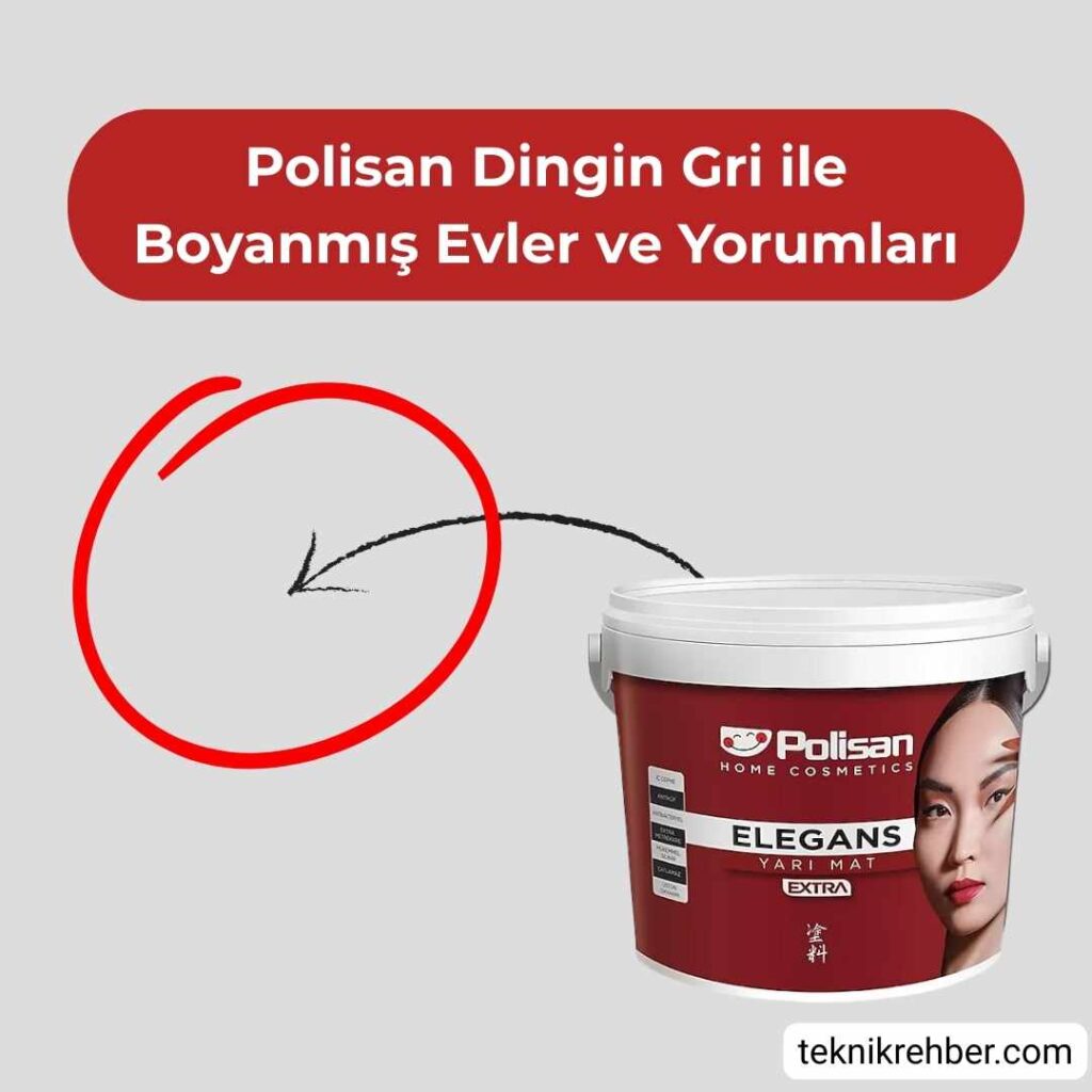 Polisan Dingin Gri İle Boyanmış Evler ve Yorumları 1 Dingin gri.