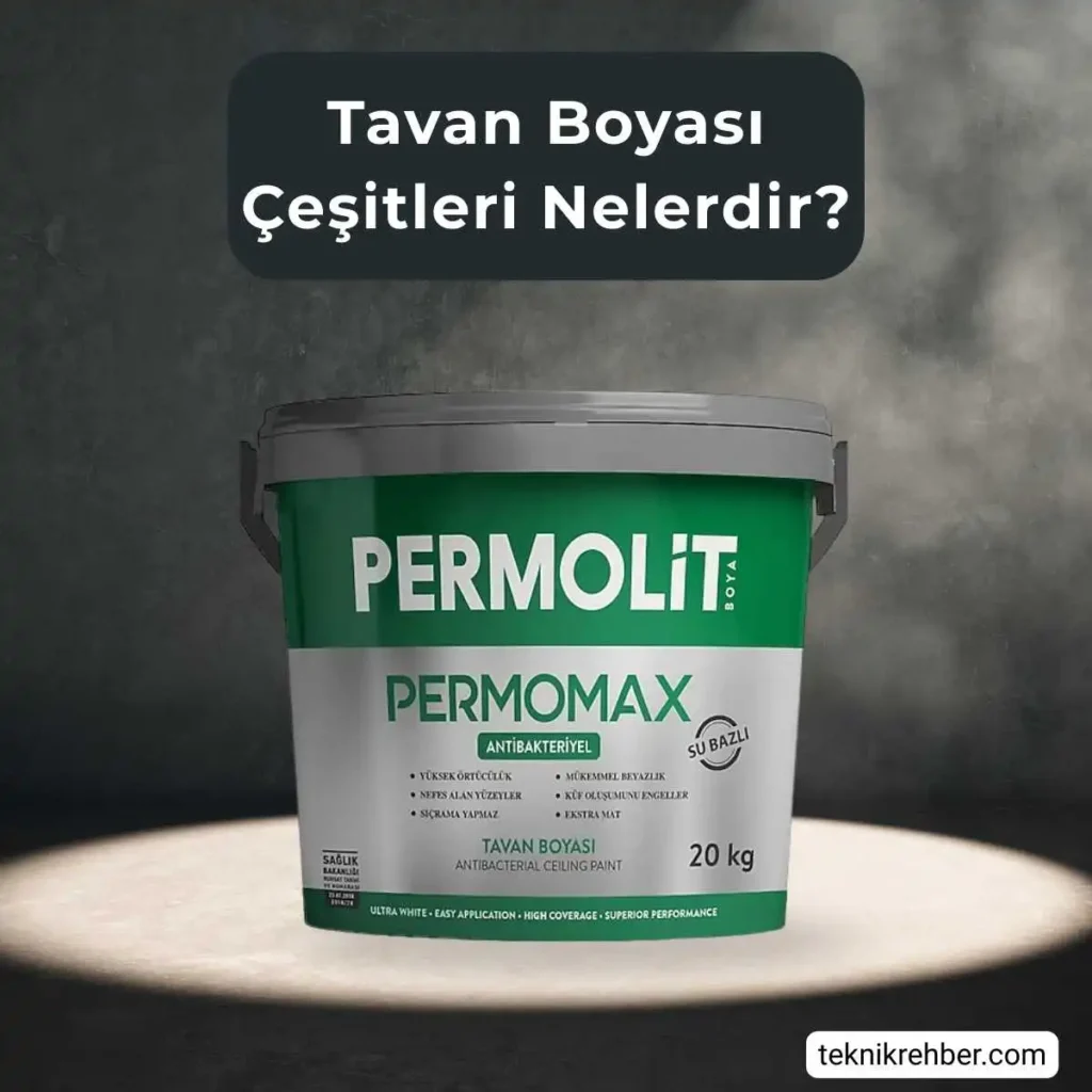 Tavan boyası