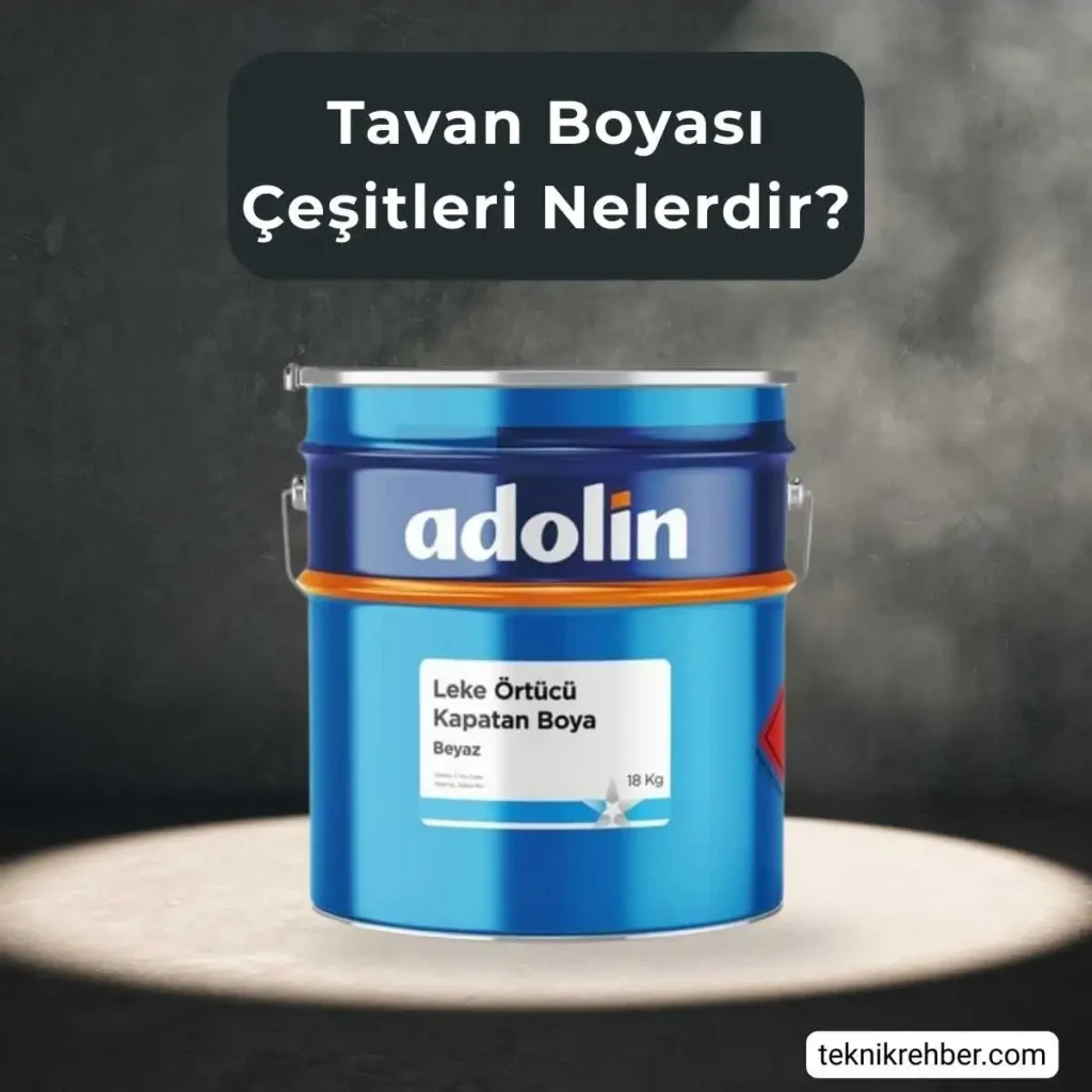 Tavan neyle boyanır?