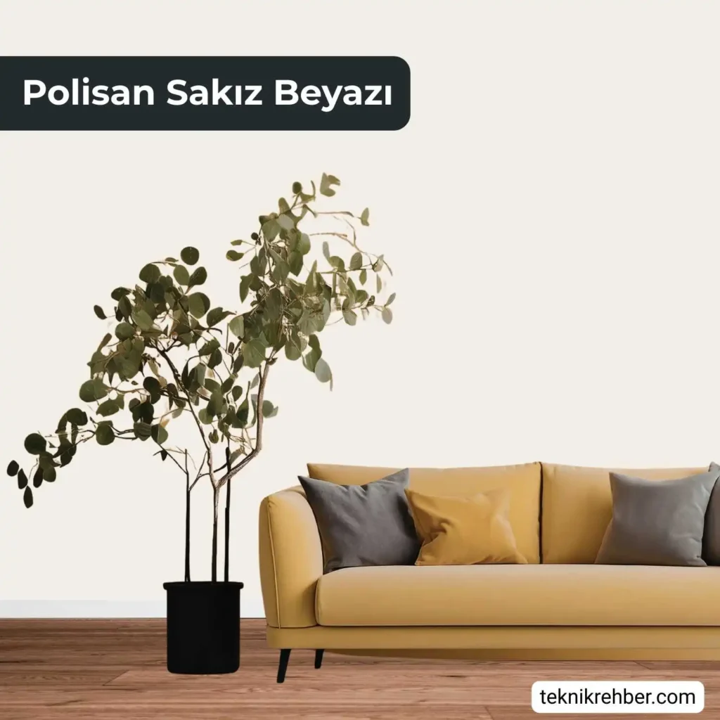 Polisan sakız beyazı ile boyanmış salon.