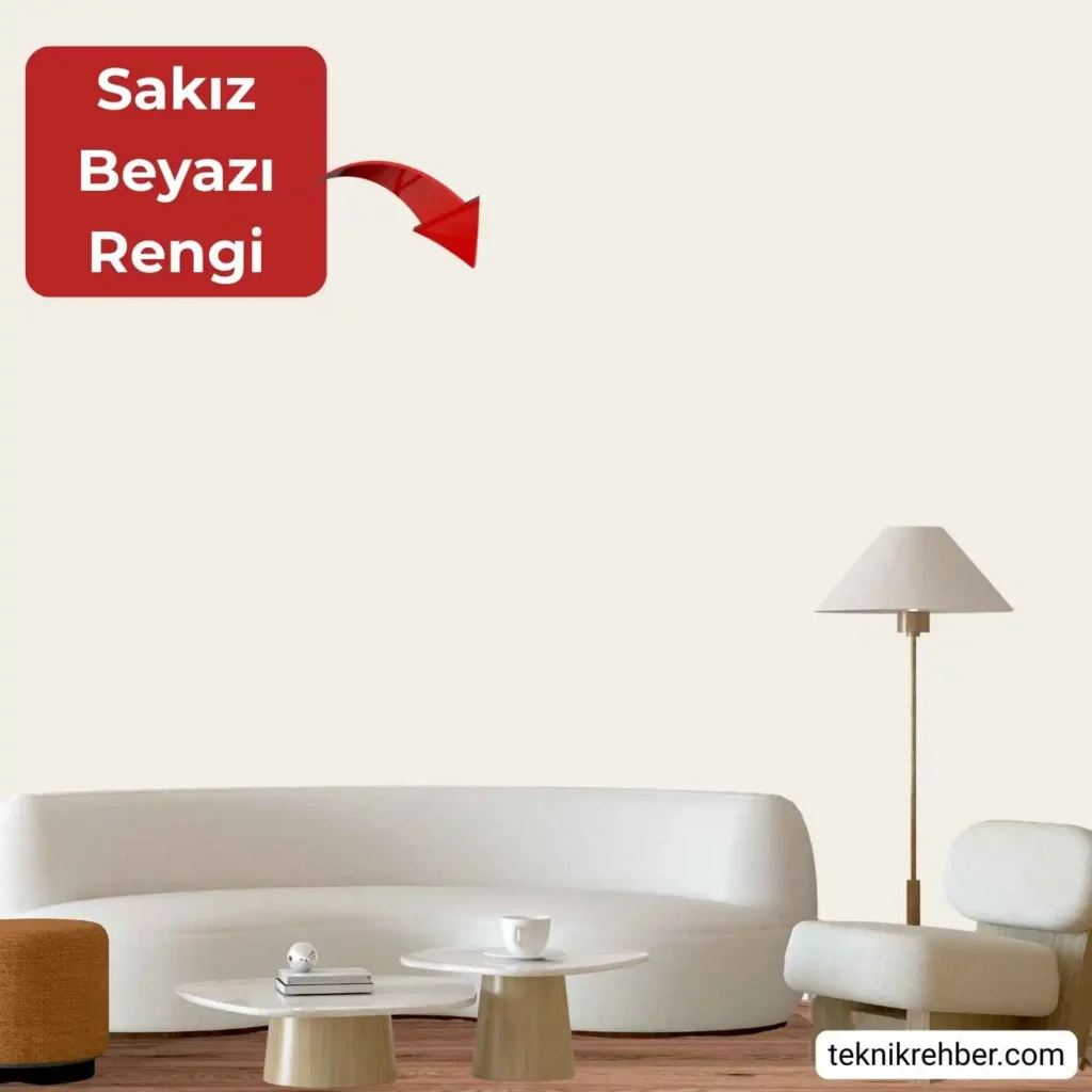 Sakız beyazı rengi