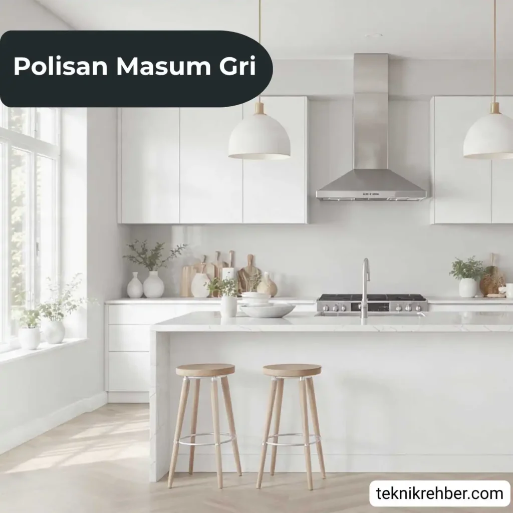 Polisan masum gri ile boyanmış mutfak