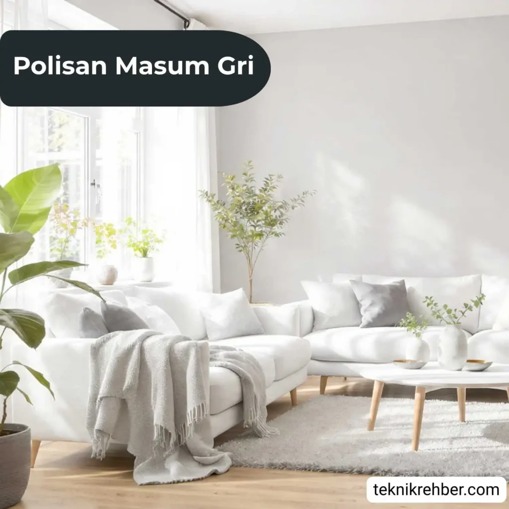 Polisan masum gri ile boyanmış oturma odası.